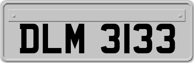 DLM3133