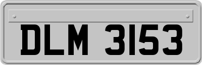 DLM3153