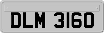 DLM3160