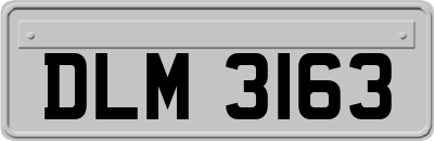 DLM3163