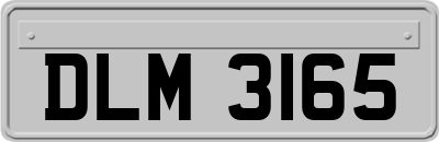 DLM3165