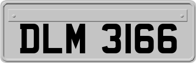 DLM3166