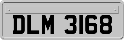 DLM3168