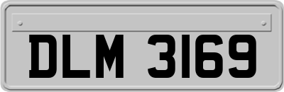DLM3169