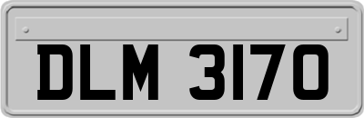 DLM3170