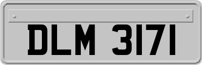 DLM3171