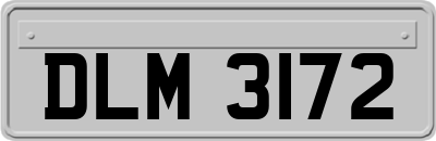 DLM3172