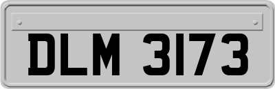 DLM3173