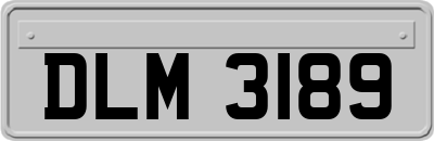 DLM3189