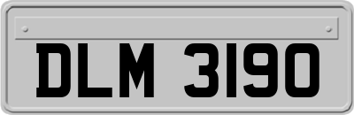 DLM3190