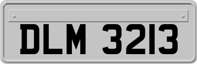 DLM3213
