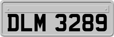 DLM3289