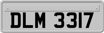 DLM3317