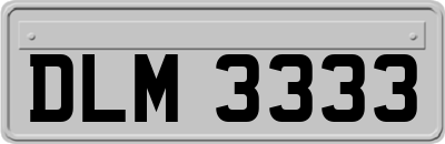 DLM3333