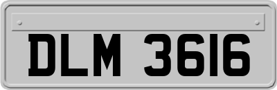 DLM3616