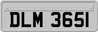 DLM3651