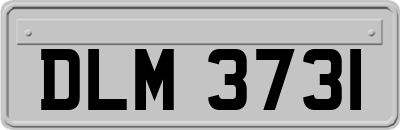 DLM3731