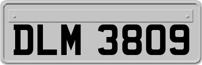 DLM3809