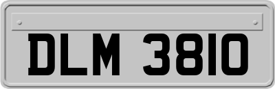 DLM3810