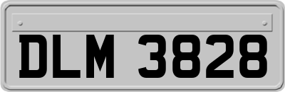 DLM3828