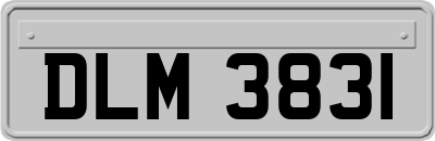 DLM3831