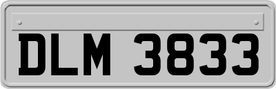 DLM3833