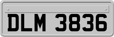 DLM3836