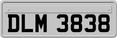 DLM3838