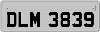 DLM3839