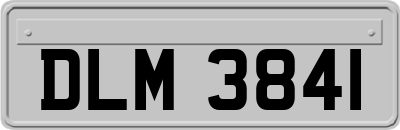 DLM3841