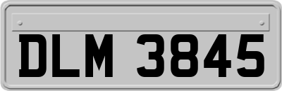 DLM3845