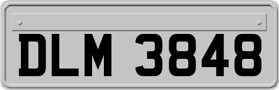 DLM3848