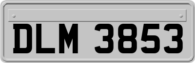 DLM3853
