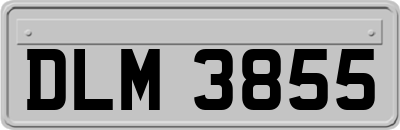 DLM3855