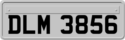 DLM3856