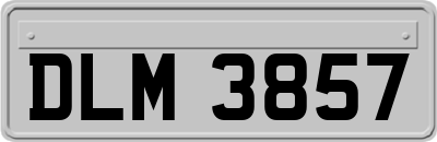 DLM3857