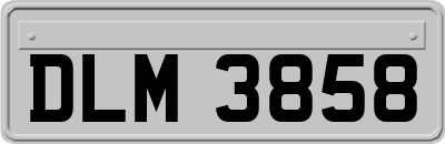 DLM3858