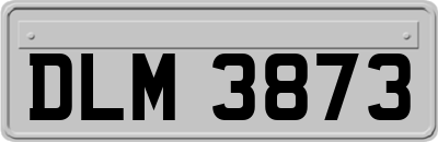 DLM3873