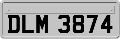 DLM3874
