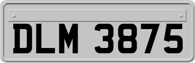 DLM3875