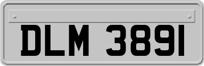 DLM3891
