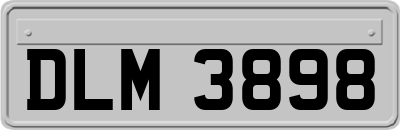 DLM3898