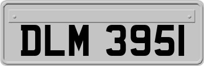 DLM3951
