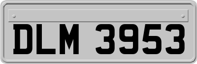 DLM3953