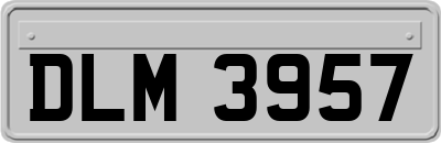 DLM3957