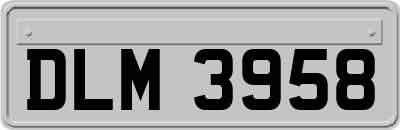 DLM3958