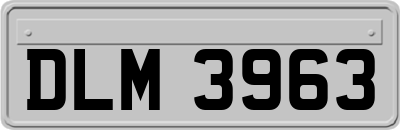 DLM3963