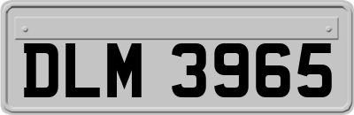 DLM3965