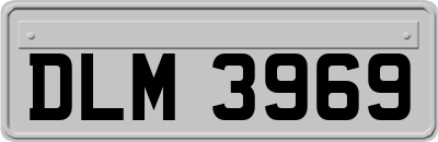DLM3969