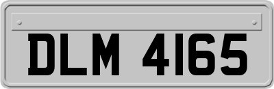 DLM4165